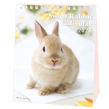 Ｓｗｅｅｔ　Ｒａｂｂｉｔ　26ACL-571 