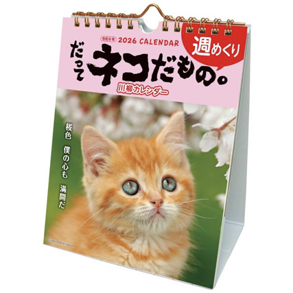 だってネコだもの。　26ACL-567  