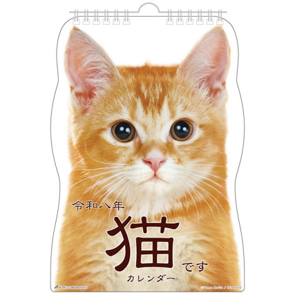 猫です　26ACL-67  
